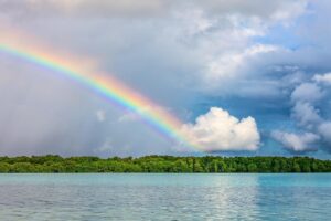 Nature Remoの遠隔操作でできる便利な使い方は？