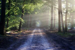 Nature Remoを使った遠隔操作の便利な活用法は？