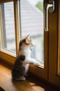 窓用エアコンを使った在宅時の効率的な冷房方法は？