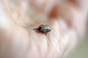 ニュースアプリで熱中症に関する最新情報はどこで見つけられる？