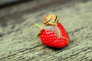 室温センサーをUSB設置するメリットとデメリットは？