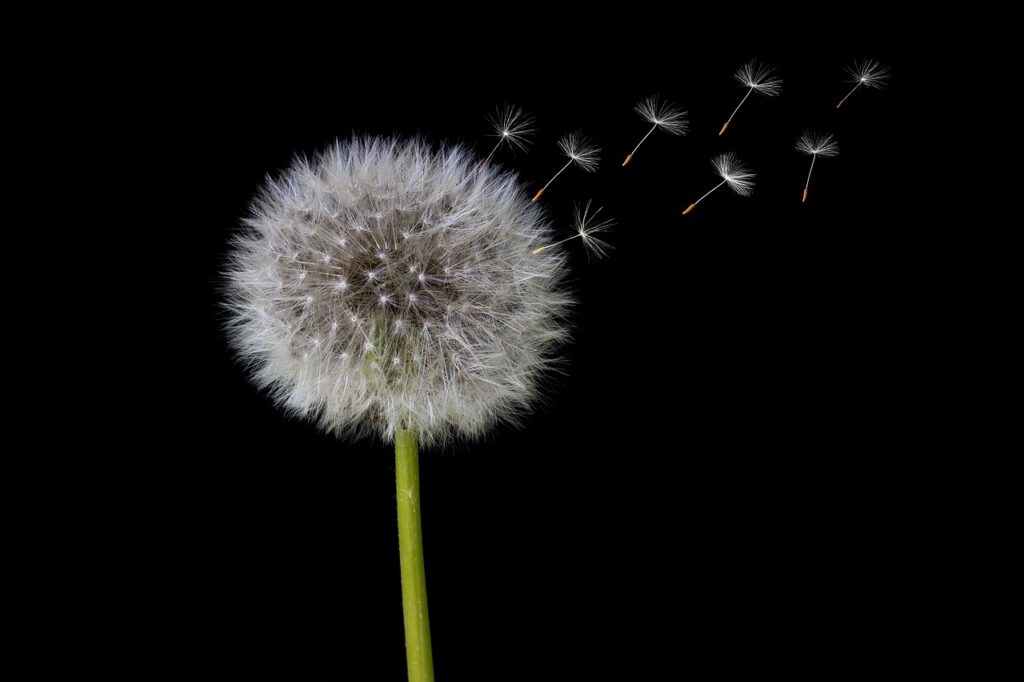 在宅ワーク中にエアコンの風が当たると寒いのか暑いのか？