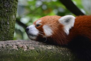 在宅ワークでの暑さ対策は？夏のデスク環境を快適にする方法とは？