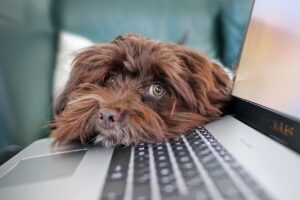 在宅ワークのおすすめ方法はこれだ！あなたにぴったりな選び方は？